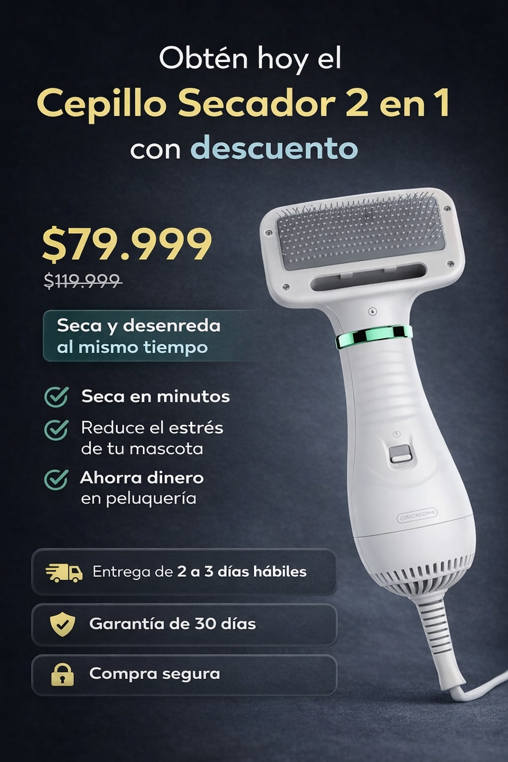 Cepillo Secador 2 en 1 para Perros y Gatos – Seca y Desenreda en Minutos